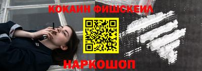 индика Рузаевка