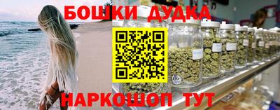 индика Рузаевка