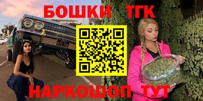 индика Рузаевка