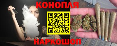 индика Рузаевка