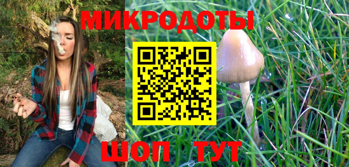 Псилоцибиновые грибы MAGIC MUSHROOMS Геленджик